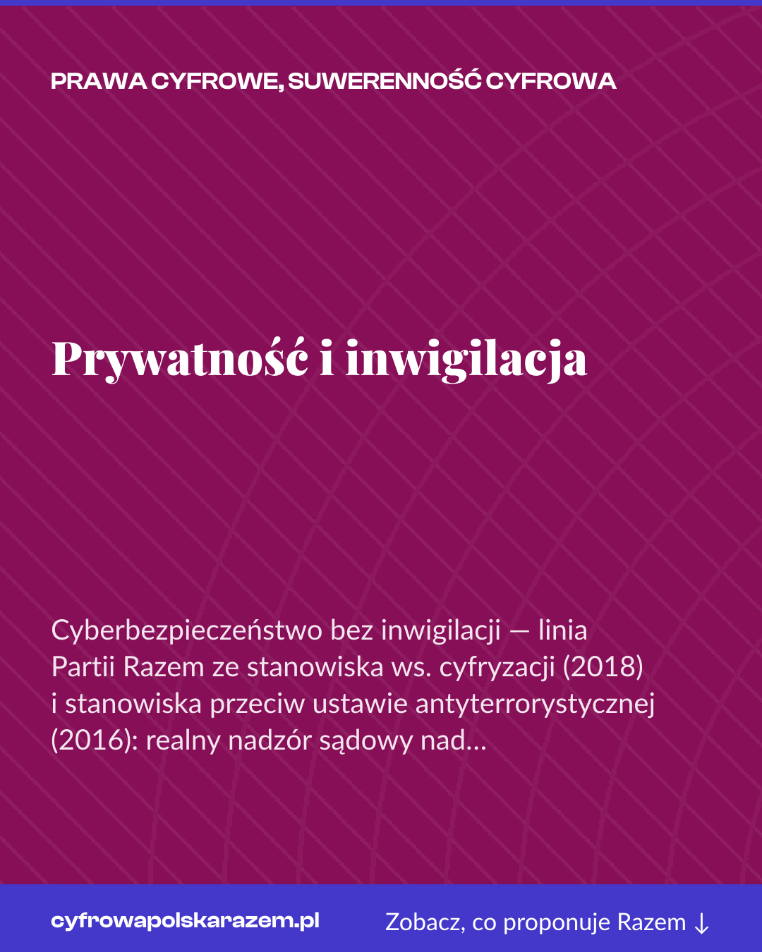 Grafika pionowa do udostępnienia: Prywatność i inwigilacja