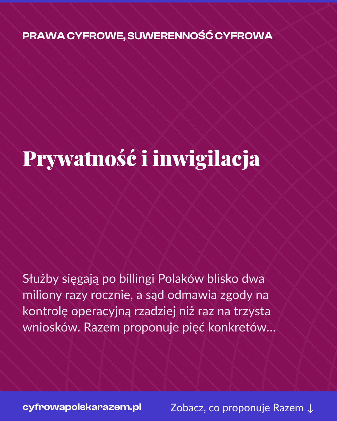 Grafika pionowa do udostępnienia: Prywatność i inwigilacja